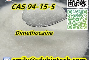 Dimethocaine C16H26N2O2 CAS 94-15-5