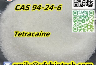 Tetracaine C15H24N2O2 CAS 94-24-6