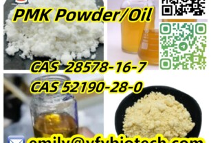 PMK Powder PMK Oil PMK ethyl glycidate CAS 28578-16-7