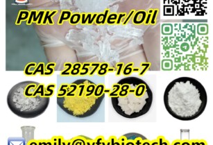 PMK Powder PMK Oil 2-Bromo-3′,4′-(methylenedioxy)propiophenone CAS 52190-28-0