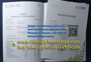 WhatsApp+852 95671343 Obtain a THM diploma and transcript