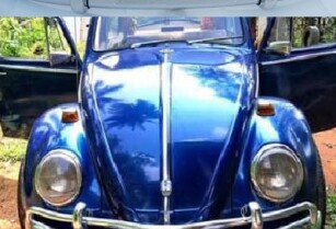 Volkswagen Beetle USA style bumper (1955-1972) by stainless steel