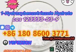 Big Sale CAS 123333-53-9 1-Hydroxybenzotriazole Hydrate Threema: Y8F3Z5CH