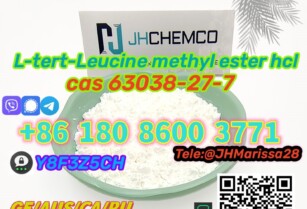 99% Purity CAS 63038-27-7 L-tert-Leucine methyl ester hydrochloride Threema: Y8F3Z5CH