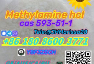 Awesome Quality CAS 593-51-1 Methylamine hydrochloride   Threema: Y8F3Z5CH