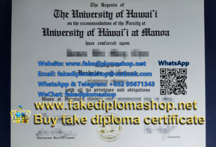 How important is University of Hawaiʻi at Mānoa diploma, University of Oregon diploma, University of Utah diploma, WGU diploma?