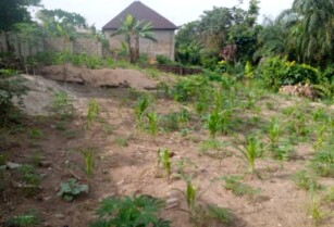 A Plot of Land For Sale at Peace Estate, Omushoko, Mowe (Call 08103158277)