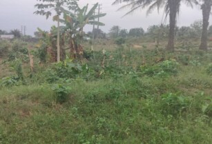 19 Plots of Land Available For sale at East west Road, Portharcourt (Call 08030921218)