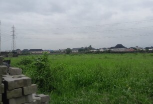 9 Plots of Land Size 4256sqm for sale along Eliozu Road, Port-Harcourt Rivers State (Call 08030921218)